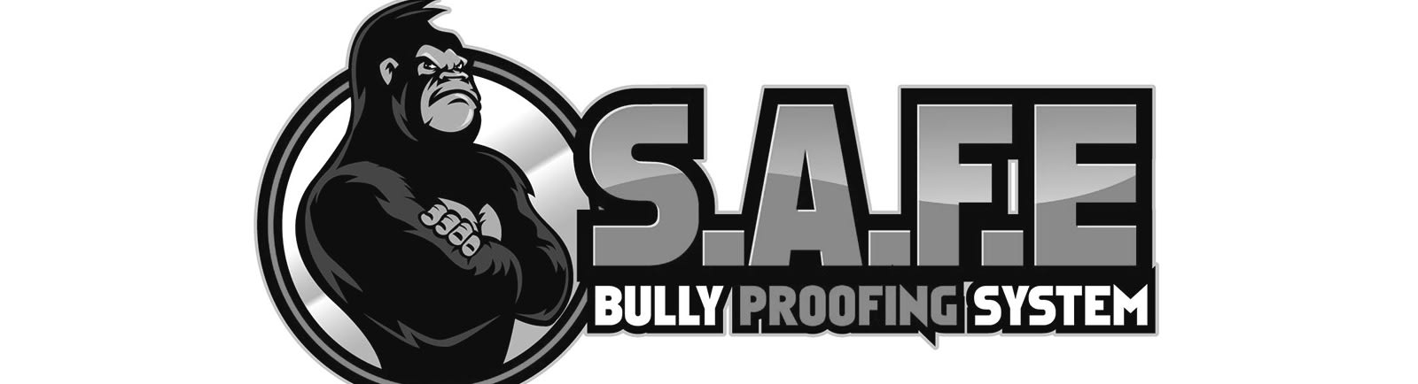 S.A.F.E. Bully Proofing System© | Straight Blast Gym Niagara