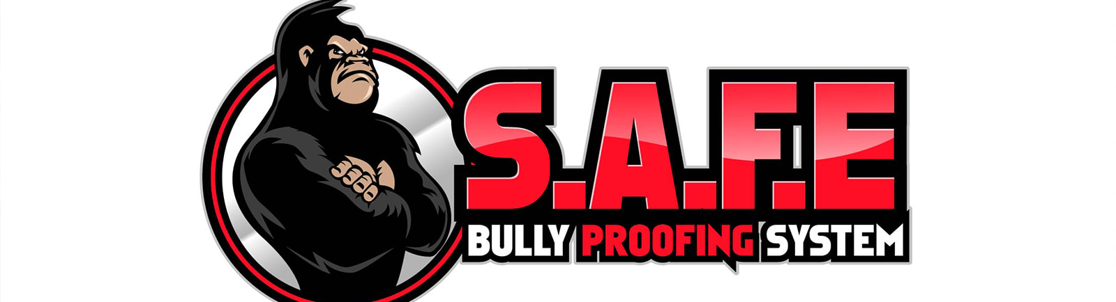 S.A.F.E. Bully Proofing System© | Straight Blast Gym Niagara